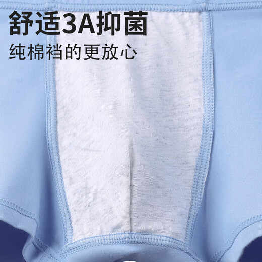 Langsha children's underwear boys Mo cotton solid color boxer type A standard big children's boys cotton breathable and comfortable shorts 170