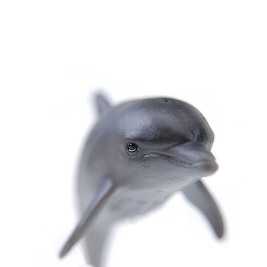[70% neu] Dise Marine Animals Delphin Model Toys Jungen und Mädchen Marine World Early Education Cognition Kinder simulierte Tierspielzeugdolphin14699/14808