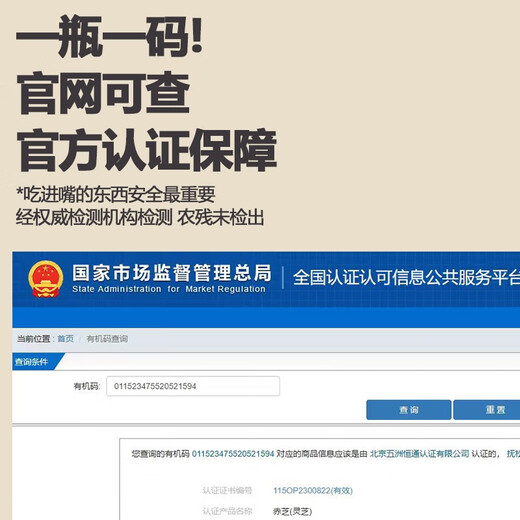 Zhensentang 2024 First Road New Powder Changbai Mountain Local Red Ganoderma Sporenpulver 500 g Bio-Robenpulver Broken Spore Oil First Road Powder 250 g Reich an Sporenöl Eine Flasche