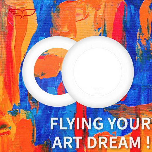 YIKUN DISCS Painted Frisbee Children's Coloring Parent-child Interaction DIY Custom Toy Blank Disc 135g-Prism