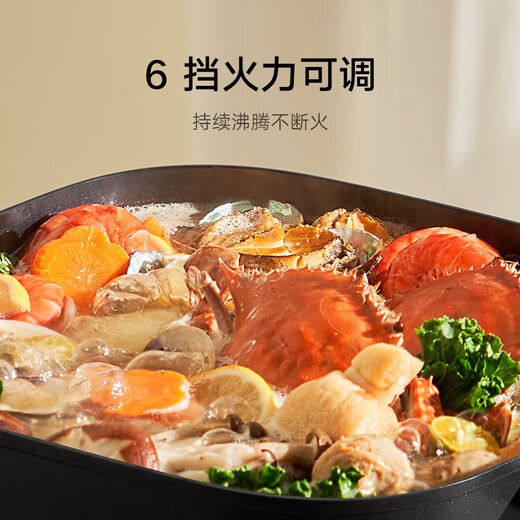 Mijia Xiaomi electric hot pot household electric cooking pot electric stew pot electric pot all-in-one multi-function pot special pot for stewing, stewing and frying split pot body large capacity 6 liters
