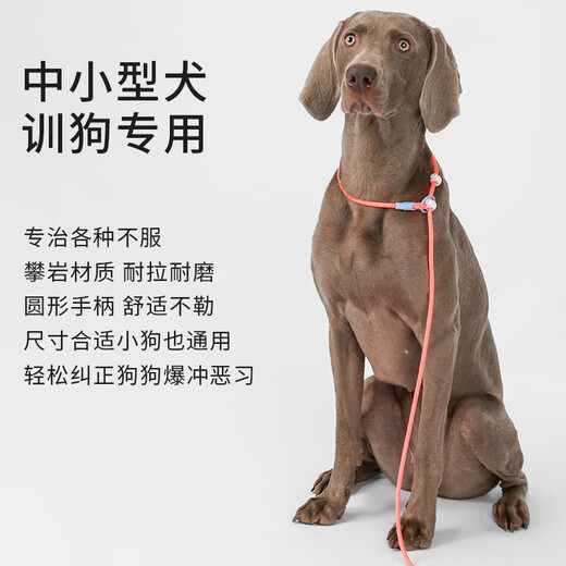 Ycqpet competition grade P rope dog leash, medium and large dog training dog rope, small dog P chain, explosion-proof dog walking rope Y04 Orange