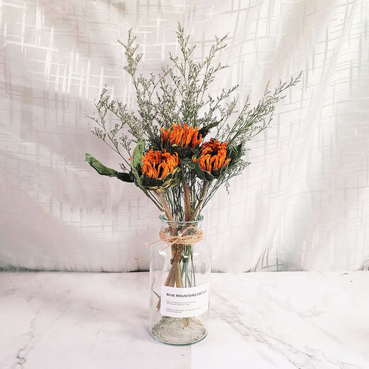 AIMAN dried flowers eucalyptus leaves Nordic style ins Nordic style small fresh living room ornaments diy home decoration ornaments SN strawberry fruit red 20 pieces without bottle