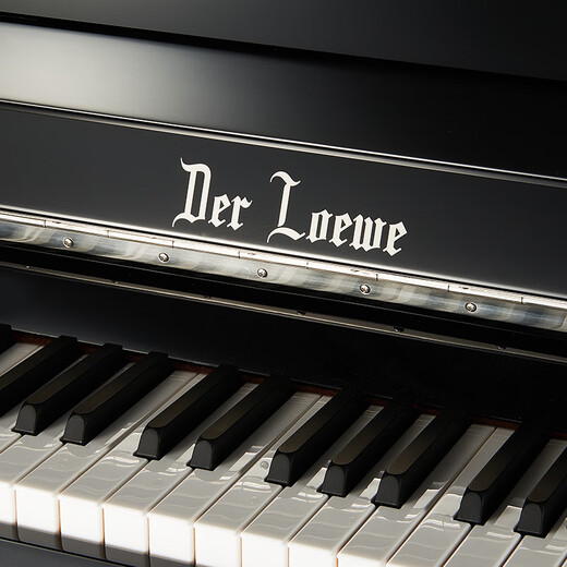Deloy Beijing Zhujiang Piano DW118 vertical piano German accessories for children beginners' home professional grade
