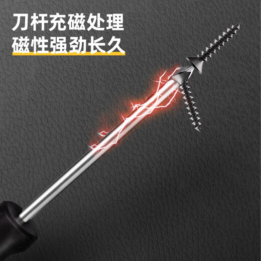 Deli Magnetic Screwdriver Set Slotted Cross Screwdriver with Magnetic Household Multi-Function Torx Screwdriver Flat-Blade Screwdriver Magnetic Screwdriver 2-piece Set DL620102