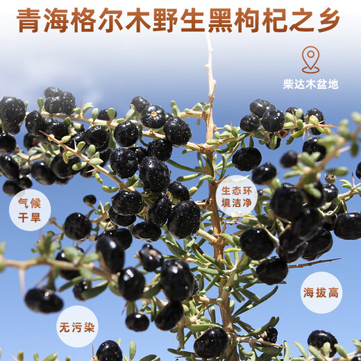 Minnong People Black Wolfberry Qinghai Qaida Wood Bouet Wild Fruit Black Wolfberry 250g Tonics est riche en anthocyanine