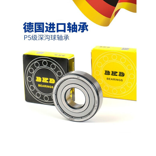 德国进口轴承6201高速6202 6203 6204 6205 6206 ZZRS 6201ZZ/P5铁盖 其他