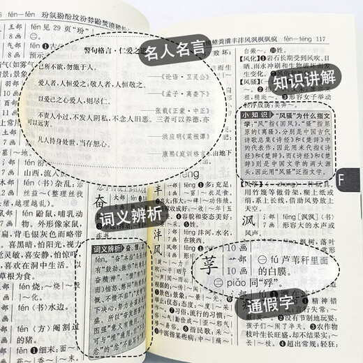 新编学生字典第二版 正版出售【平装本】中小学语文教材配套工具书人民教育出版社 小学通用