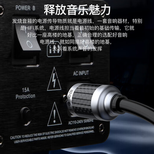 Akihabara (Choseal) Fieber-Grad Einkristall Kupfer-Audiokabel mit Nervendrahtschildschicht Anti-Interferenz HiFi Soundqualität Home Audioverstärker Audioverbindung Kabel American Standard Audio Dedicated Power Kabel QS9901 3 Meter