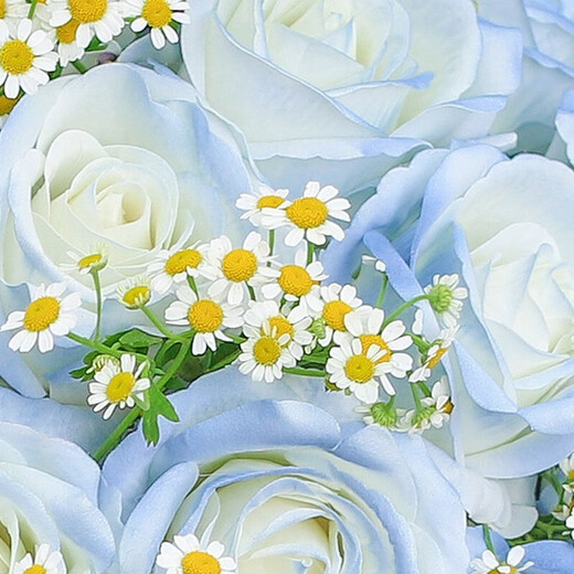 HuaDe Flower Express 33 rose bouquet birthday gift for girlfriend same city delivery Love in the Sky 33 crushed ice blue | SS72 normal price