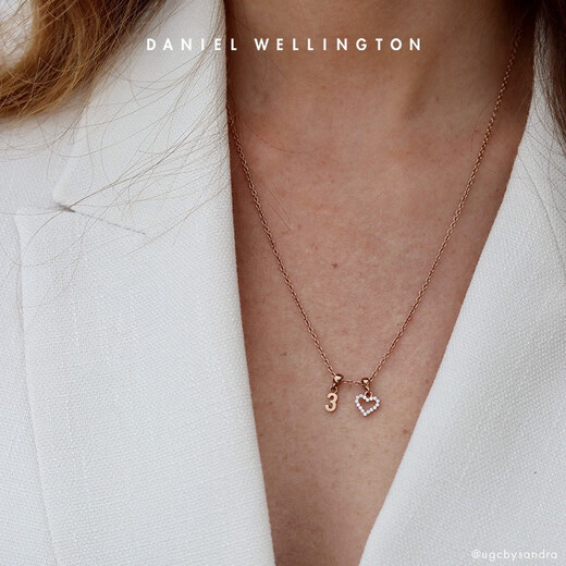 Daniel Wellington DW Pendant Secret Word Series Love Pendant Ball Beads DIY Gift Personalized Simple Birthday Gift Hollow Stone Love Pendant DW00400427