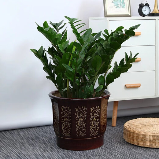 Pot de fleurs en céramique de style chinois classique, losange en bronze sur pied, très grand arbre à argent, grand diamètre