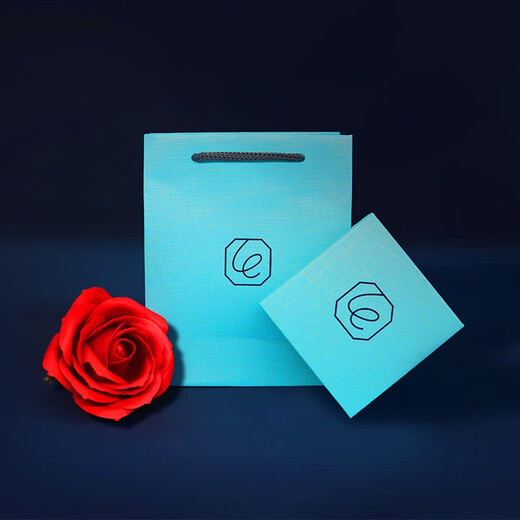 Warme Farben Pure Silver Necklace for Women Light Luxury Simple Feather Design Clavicle Chain Pendant for Women Practical Birthday Gift for Wife Glazed Stone Feather Necklace