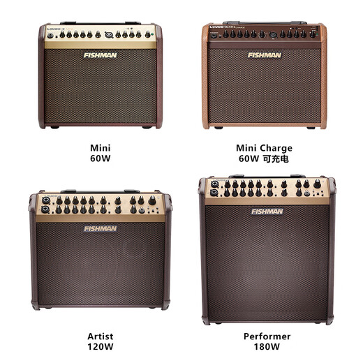 FISHMAN Fisherman Singing Speaker Loudbox Acoustic Guitar Outdoor Singing Roadshow Electric Blowpipe Live Acoustic Instrument Audio 120w (Artist) Package Five Type-C Internal Recording Cable