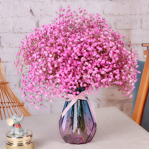 AIMAN Gypsophila Natural Dried Flower Bouquet Ins Internet Celebrity Birthday New House Decorative Ornaments Air-Dried Real Flower Arrangement Home Furnishings Pink Gypsophila Without Vase