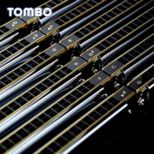 通宝（TOMBO）6624s套装12调7调口琴高级成人专业演奏级初学者自学 6624【初学进阶款】12调