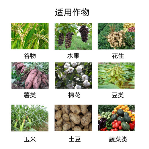 Bairui 0.02% iron chlorin regulates growth and increases growth regulator ripening agent genuine 10 bags (300g)