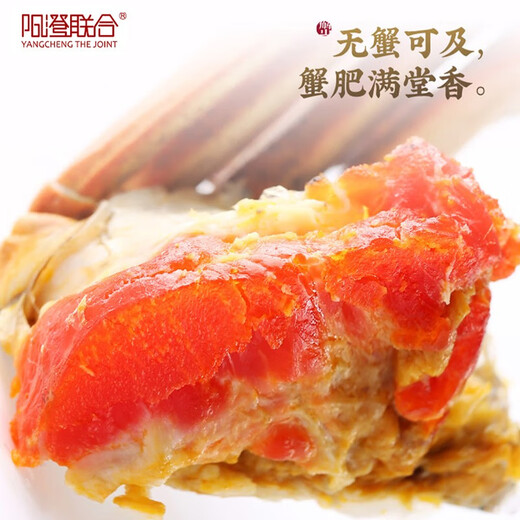 [Geschenkgutschein] Yangcheng United Hairy Crab Geschenkgutschein Krabbenkarten Geschenkbox Geschenkkarten Geschenkkarten Geschenkkarte Geschenkkarte Geschenkkarte Geschenkkarte Geschenkkarte 9766 Typ männlich 6.0 Zwillinge weiblich 4.5 Zwillinge 5 bis 10