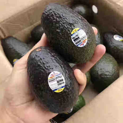 Beijing Orange Meijin Mexico imported fresh avocado fruit seasonal avocado fruit baby healthy and light food 8 medium fruits [100-130g single fruit]