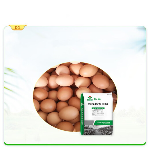 Nanbo Pill New Hope Liuhe Feed Feed 5 Laying Hen Premix Scale Field Direct Supply 10 Packets Starting Price 10 Packets Fish Meal Type
