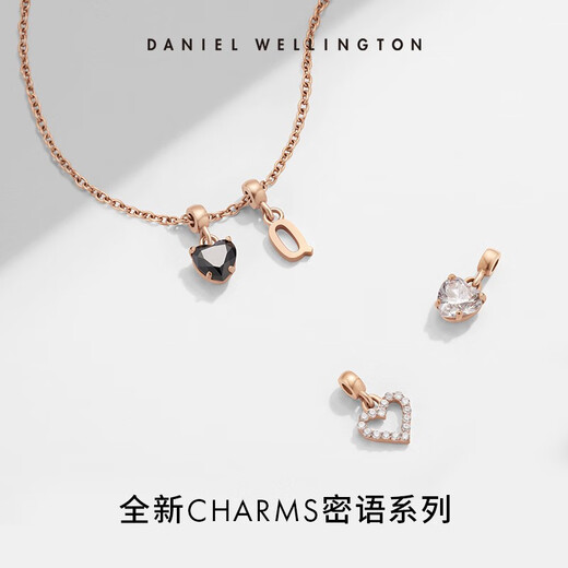 Daniel Wellington DW Pendant Secret Word Series Love Pendant Ball Beads DIY Gift Personalized Simple Birthday Gift Hollow Stone Love Pendant DW00400427