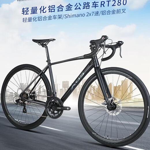 喜德盛（xds）公路自行车RT280禧玛诺14速线拉油碟入门单车太空灰黑44cm