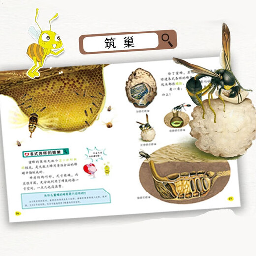 小昆虫大探秘（全套8册）彩图版 中小学生课外科普百科自然动物绘本1348****神马卡通四川少年儿童出版社