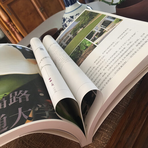 遇见上海，这座城