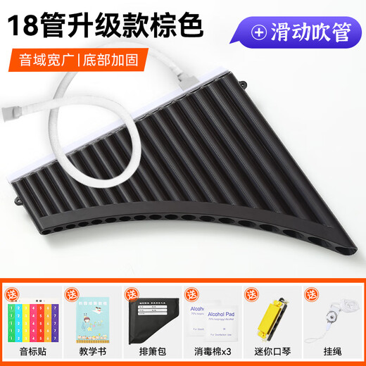 YTK易学排箫16/18管初学者专业演奏民族乐器儿童小学生入门专用 【升级款】18管棕色+滑动吹管+礼