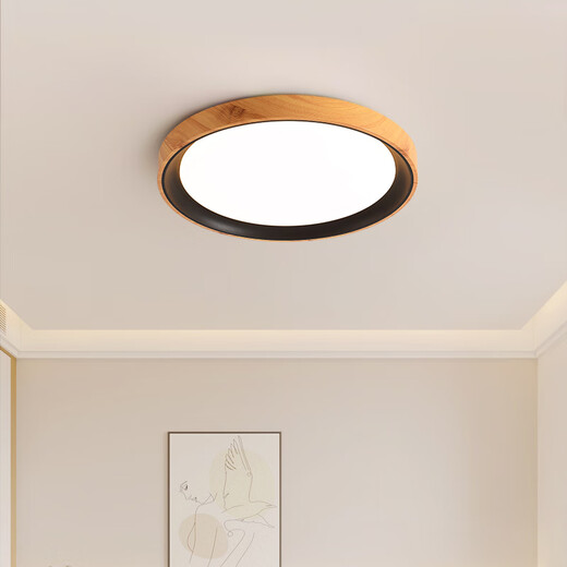 Grand View Garden (DGY) Bedroom Lamp Eye Protection Ceiling Lamp Creative Japanese Retro Study Room Lamp Modern Simple Restaurant Master Bedroom Lamp 125O 48W 3891-Black 50cm-Three Colors