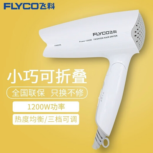 飞科（FLYCO） 电吹风2000W家用大小功率吹风筒便携式吹风机冷热风负离子不伤发 飞科FH6255  1200W   婚纱白