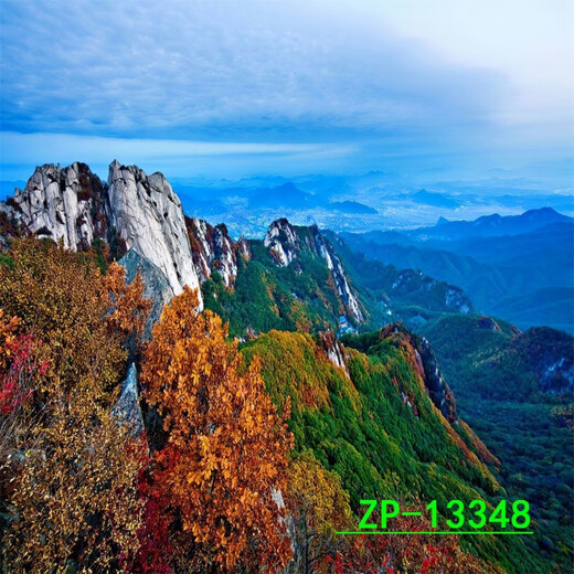 
Internet celebrity live background cloth 3D three-dimensional landscape painting movable high-definition live room outdoor interior background wall ZP-13547 2.5 meters wide - 2.5 meters high (hook type)