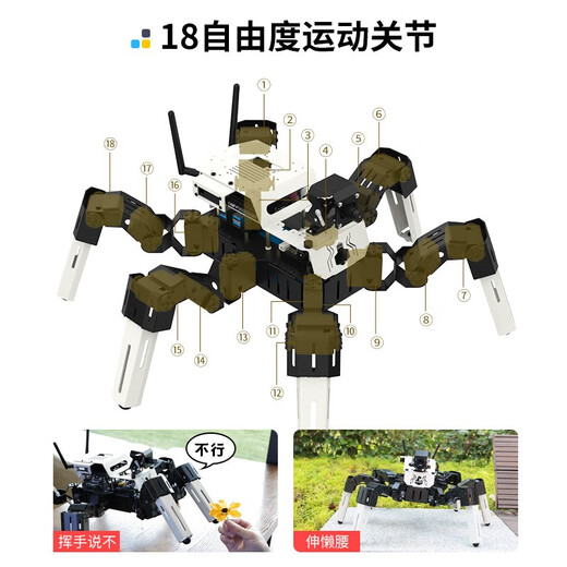 亚博智能（YahBoom）树莓派5六足机器人仿生多Python编程蜘蛛AI视觉识别jetson nano S1基础版【无需主控】