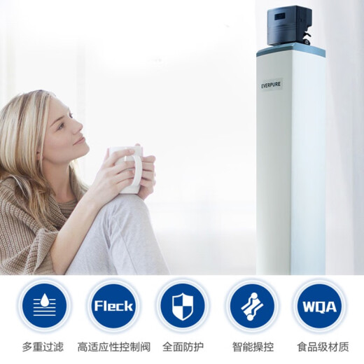 爱惠浦（Everpure） PCFE40F120型中央净水机大型净水器家用商用大流量全屋过滤 中央净水1.5吨/小时12040型号