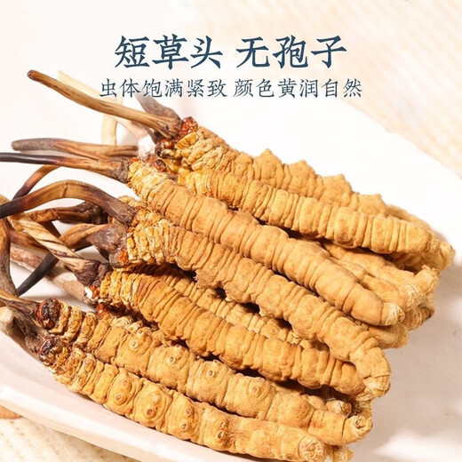 鹿章堂正宗冬虫夏草精品虫草断草正宗大断虫草干货买10条送1条散装正宗 西藏那曲3条1克正宗冬虫夏草（1条装）