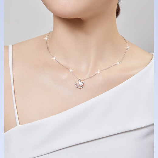 LAOLATU 999 platinum necklace for women PT950 platinum Sanshengyouxing 2025 new Chinese Valentine's Day gift for wife 999 platinum necklace + pt950 platinum pendant