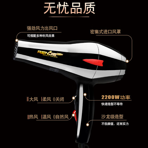 Renjie Haartrockner 826 Hoch Power 2200W Heiße und kalte Luft Haushalt Friseursalon Friseur Shop Konstante Temperatur Haartrockner Renjie 2200W Hochleistungshaartrockner 826