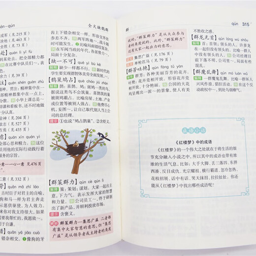 商务馆小学生多功能成语词典（彩图本） 商务印书馆辞书研究中心 编 商务印书馆