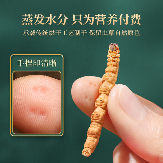 紫蓝花海100g 大号断草 冬虫夏草新干高品质断虫草送父母【健康礼盒】