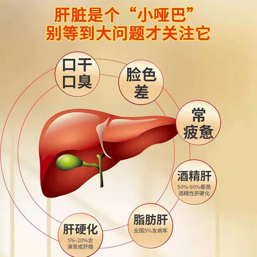 
Beijing Tongrentang Bear Bile Powder Golden Bear Golden Bile Powder 0.1g*1 bottle Clear heat and calm liver fire and improve eyesight and fire, red throat, swelling and pain, clear liver, drink alcohol and stay up late, over-the-counter medicine for liver and gallbladder 1 box [Zi-Hui-Jing Bear Bile Powder 0.1g*1 bottle]