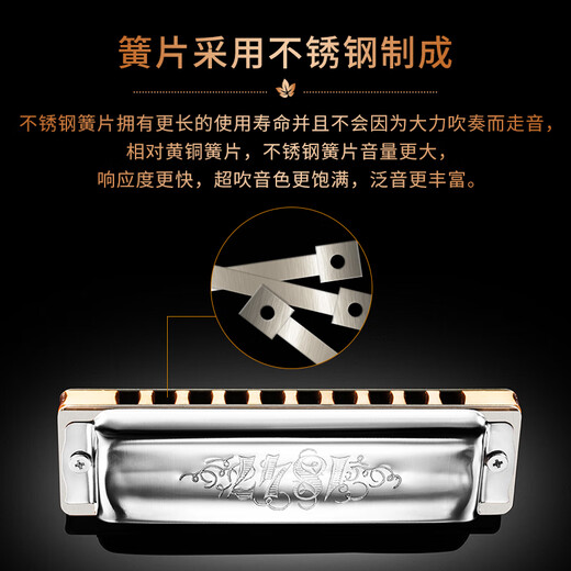 SEYDEL德国进口SEYDEL赛德 十孔10蓝调成人口琴 1847 CLASSIC 10孔G调