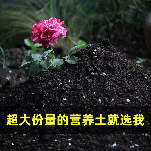 Huameinuo Nutrient Soil is a special universal vegetable potting soil for flower cultivation. Planting soil, flower soil and succulent soil fertilizer is for home use. Original formula nutrient soil 40Jin Jin is equal to 0.5kg (nourishes roots and promotes flowers).