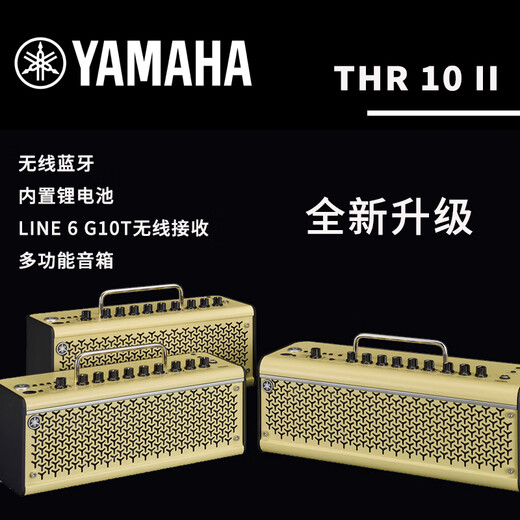 Yamaha Musical Music Store Yamaha Yamaha THR10 Portable Acoustic Guitar Electric Guitar Bass Singing Speaker THR10 II