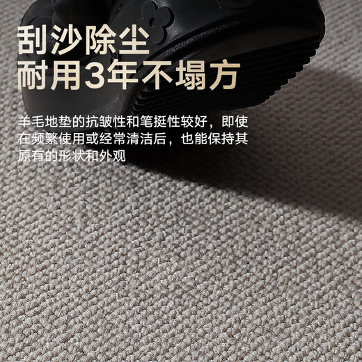 Dajiang floor mat entrance door foot mat entrance floor mat wool carpet door entrance floor mat 75x110cm