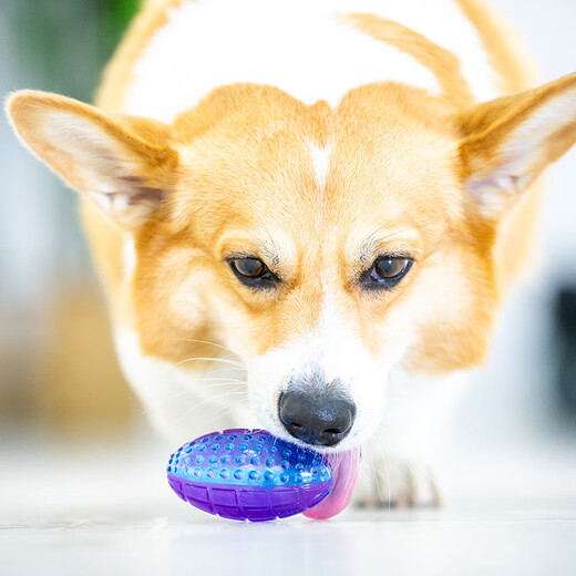 GiGwi dog toy vocal toy ball G-Ball olive small transparent color molar bite-resistant small dog vocal ball