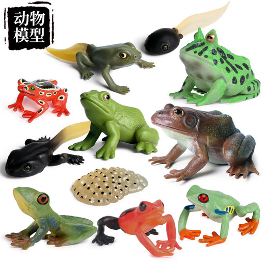 Oenux Simulation cognitive grenouille jouet solide enfant de poupée pour enfants Small Ornaments Bullfrog Frog Frog Bullfrog Frog Toad 1429 Africain Reed Frog