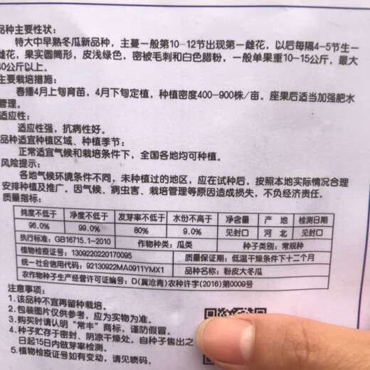 One melon per section, winter melon seeds, hairy section melon, small winter melon, stable yield for all seasons in spring, potted vegetable seeds, 20 pieces, pink-skinned winter melon