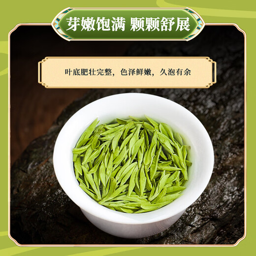 Erster Jiangnan 2025 neuer Tee Green Tea Longjing 200g Mingqian Tee Geschenkbox Konserven Frühling Tee Sprout