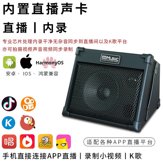 CoolmusicBP40 Outdoor Guitar Singing Speaker Saxophone Electronic Organ Street Performance Singing Live Audio Charging Portable BP40+Wired Microphone+Portable Bag