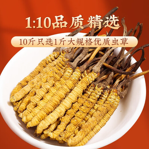 
San Dikang Tsang Cordyceps sinensis New dried Cordyceps nourishing gifts gifts gifts for elders Nutritional products 4 sticks/g 10 grams 40 sticks gift boxes